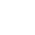 RighInfo003061_icon2