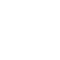RighInfo003061_icon4