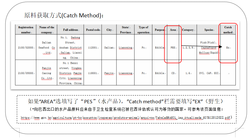 v8哈希游戏-不凡成就非凡,相信品牌的力量