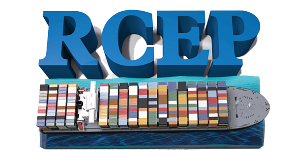 RCEP红利持续释放，推动各国互利共赢！