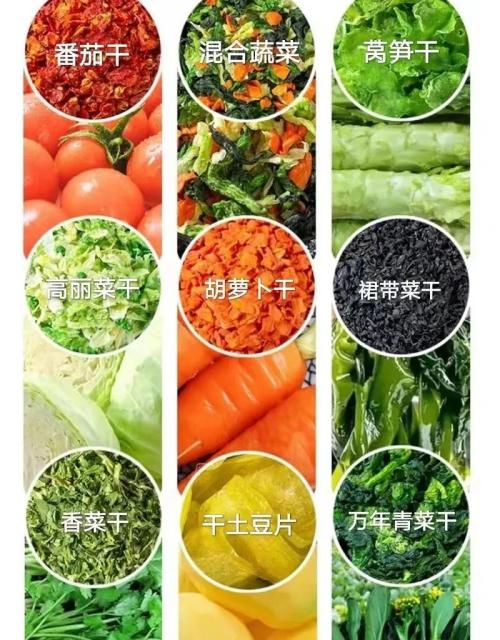 脱水蔬菜出口需要什么资质？（附详细办理流程）